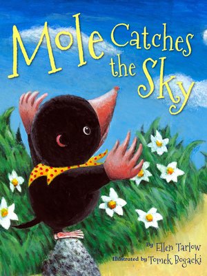 cover image of Mole Catches the Sky